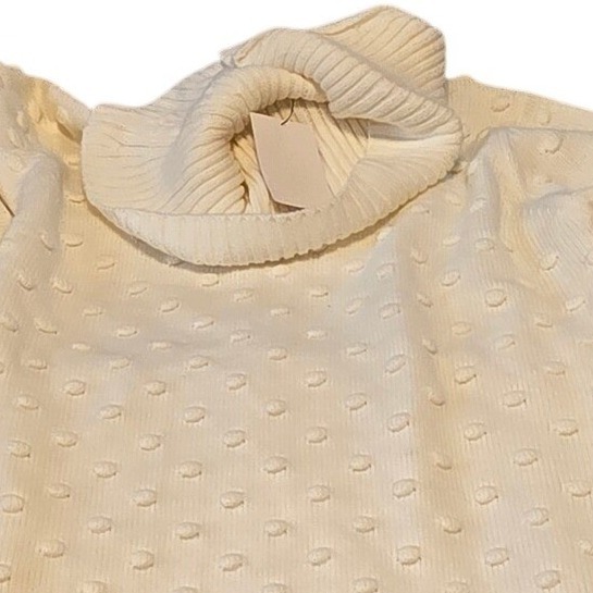 Nwt Jh Collection Womens Cream Knit Sweater Dress Long Sleeve Cowl Neck Size L